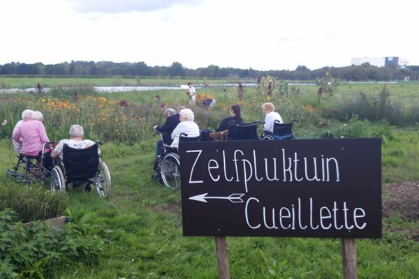 Bezoek Pluktuin