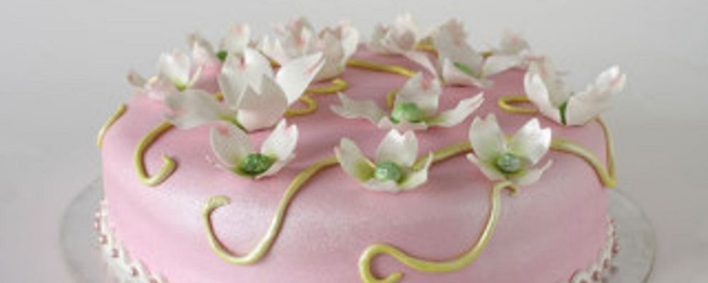 Photos De Notre Fete Mensuelle Groenhof Intermezzo